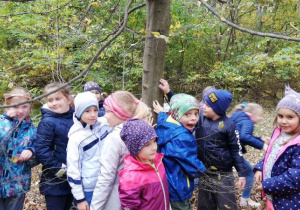 Dzieci z klasy pierwszej w lesie.