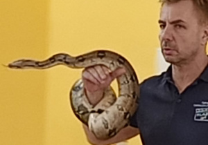 Prowadzący prezentuje węża.