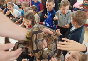 Uczniowie dotykają skóry węża.