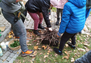 Pod koniec zajęć uczniowie zbierali gałęzie, by móc podgrzać wodę w czajniku za pomocą ognia.