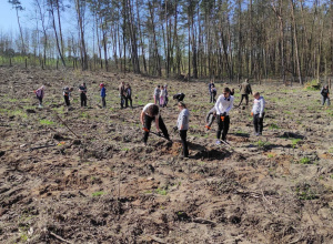 Sadzenie lasu w ramach III ogólnopolskiej akcji „Łączą nas drzewa”