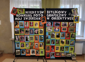 Międzyświetlicowy konkurs fotograficzny "Mój zwierzak w obiektywie"