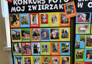 Wystawa prac konkursowych