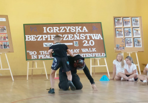 Igrzyska bezpieczeństwa