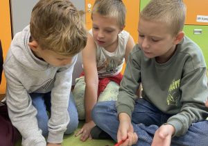 Zdjęcie 6 na 8