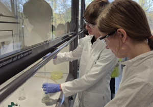 Synteza aspiryny - klasa 8a