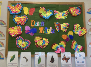 Dzień Motyla- kolorowy świat przyrody